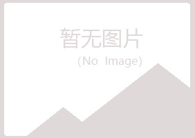 琼山区浮夸金属有限公司